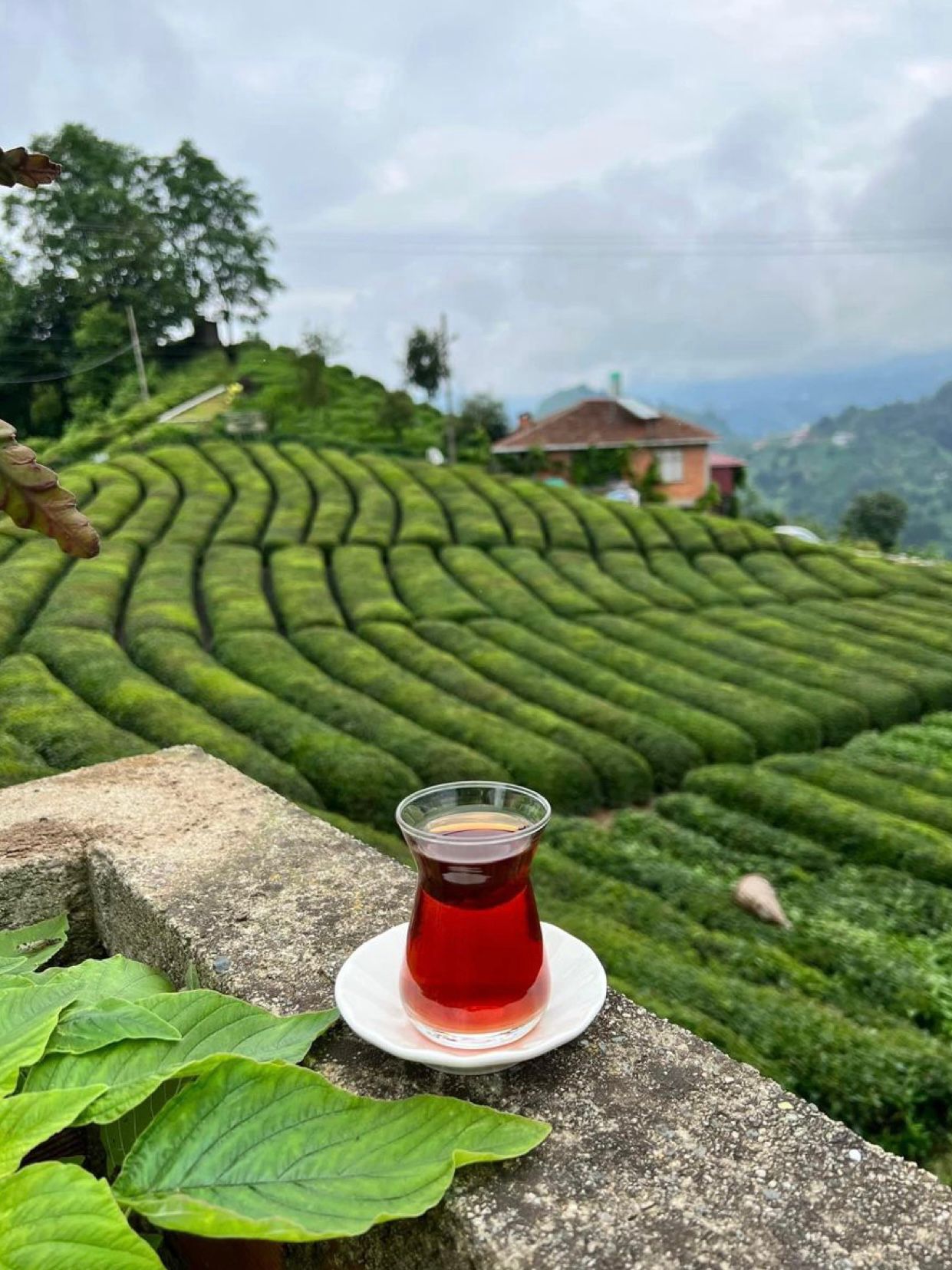 Yeni Sezon Doğu Karadeniz Batum Turu