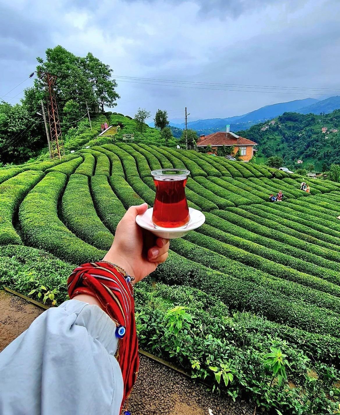 Boydan Boya Doğu Karadeniz - Batum Turu